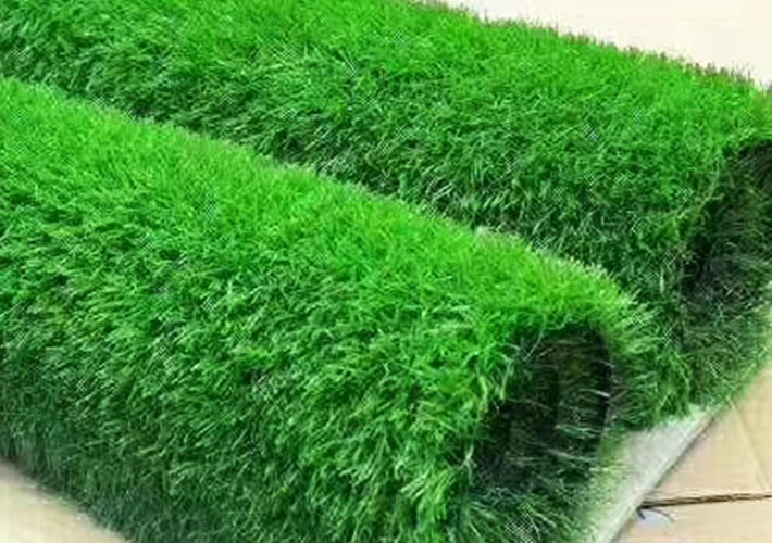 �Lɳ�خa����