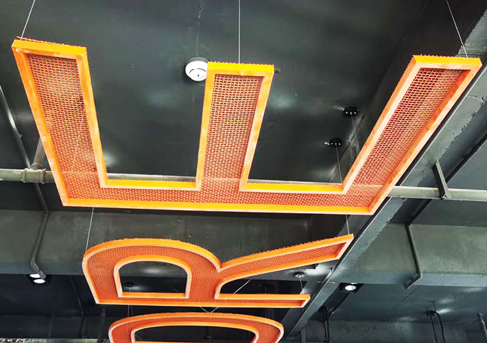 �����F�W���w������