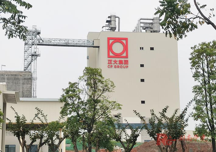 ���Ͱl����