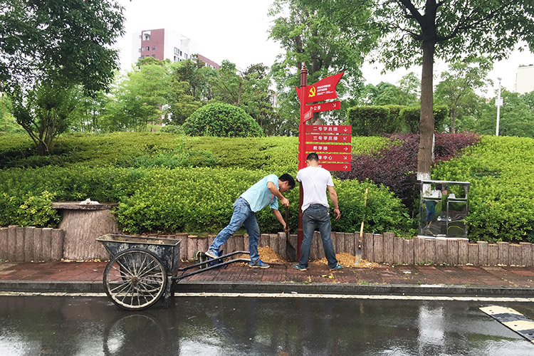 校園環(huán)境標識